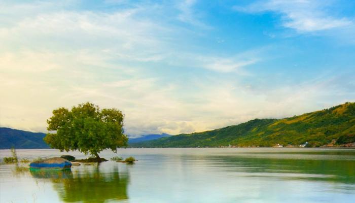 Boost Your Focus: 8 Simple Lifestyle Changes