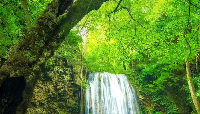 Seven Secrets of Peaceful Waterfalls Revealed