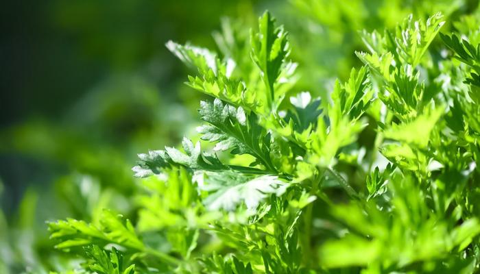 Reveal Your Natural Beauty with These Tips