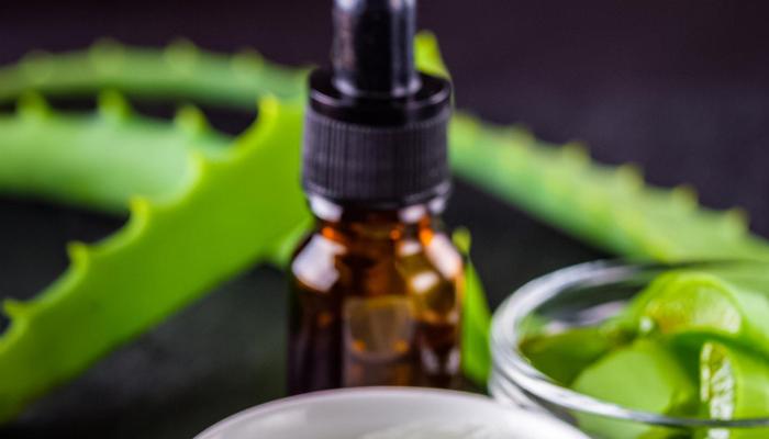 Aloe Vera: Discover its skin benefits.