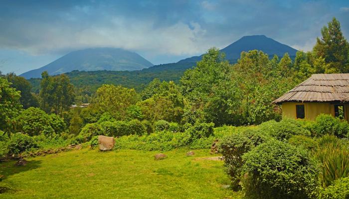 Find Transformation at Yoga Retreats in India