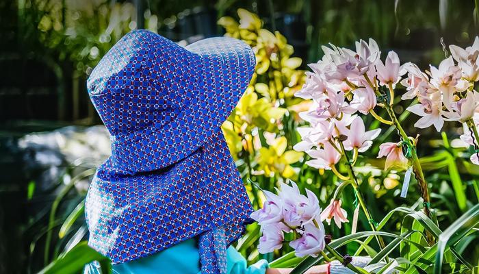 Kids Can Learn Gardening and Love Greenery.