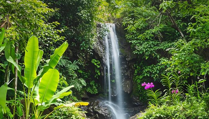Discover New Cultures on Your Next Vacation