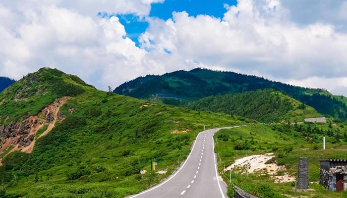 Road Trip Tips Will Inspire Your Next Adventure