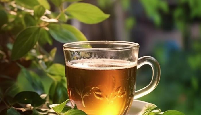 Herbal Tea Recipes Boost Your Health!