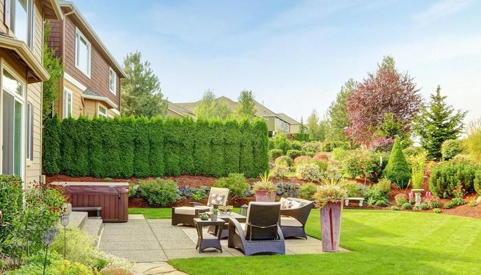 Create a Zen Garden in Your Backyard Now!