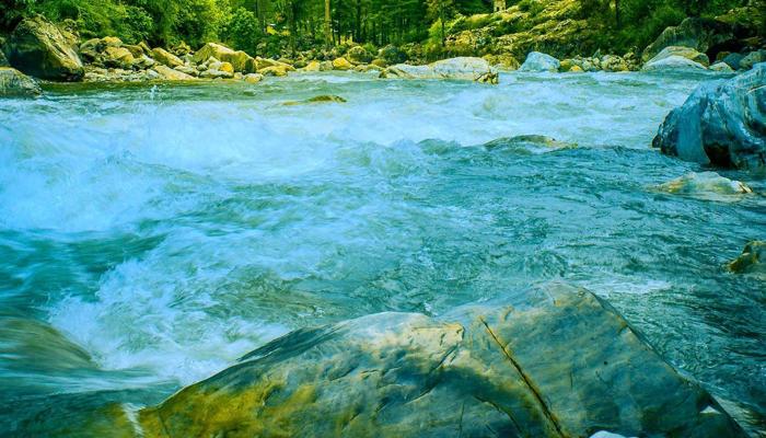 Explore the Wild: Adventure in Nature Awaits