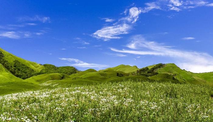 Find Happiness: 7 Habits for a Joyful Life.