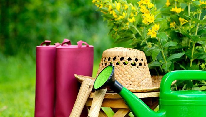 Eco-Garden: Genius Gardening for Green Glory!