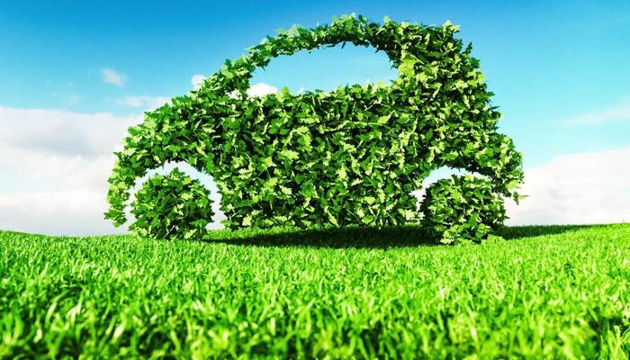 Indian Homes Must Solve These 6 Eco-Mysteries
