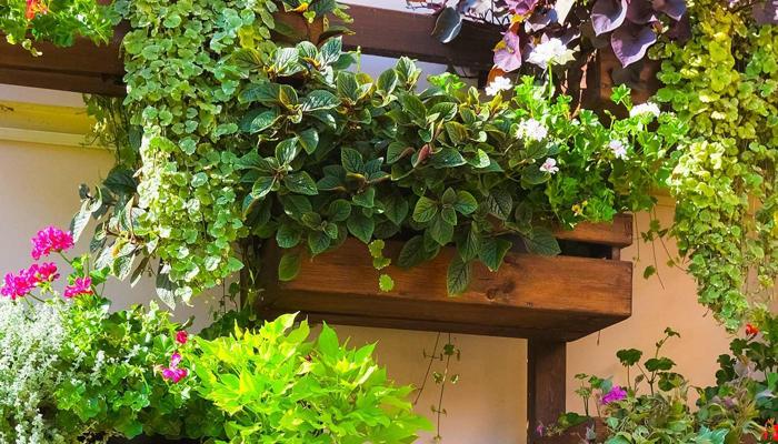 Gardening Can Improve Your Health Today
