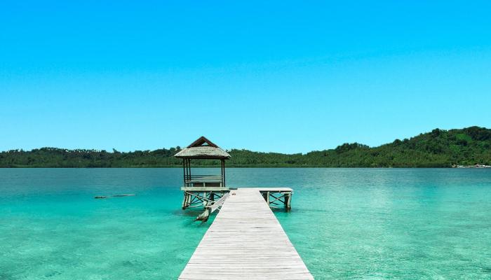 Travel Sustainably: Eco-Explorers Show You How