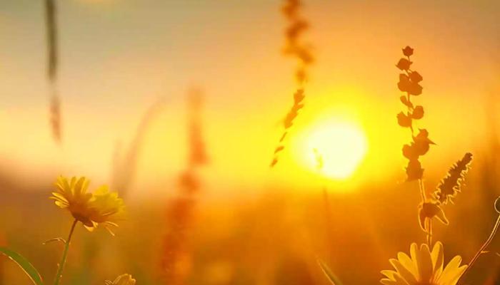 Unlock Bliss: 10 Secrets to Improve Your Mood
