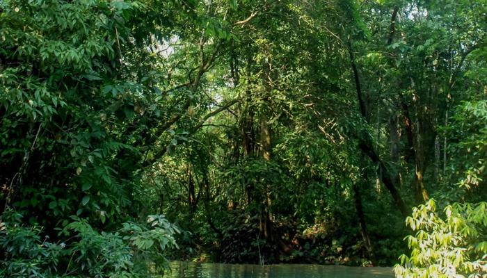 Travel Sustainably: Tips for Eco-Conscious Trips