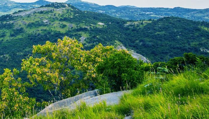 Plan Your Next Adventure: Top 10 Activities