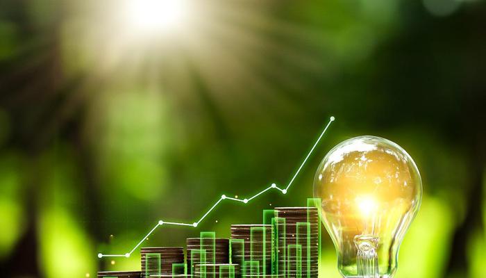 Bold Moves Drive Sustainable Business Success