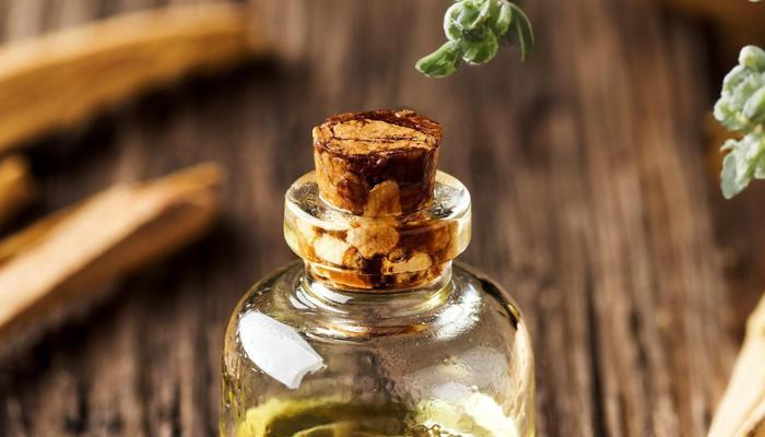 Herbal Medicine's Healing Secrets Are Revealed
