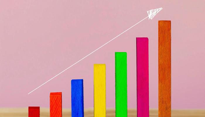 Grow Your Mindset, Achieve More Success