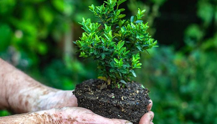 Give Back While You Travel: 7 Heartfelt Ways