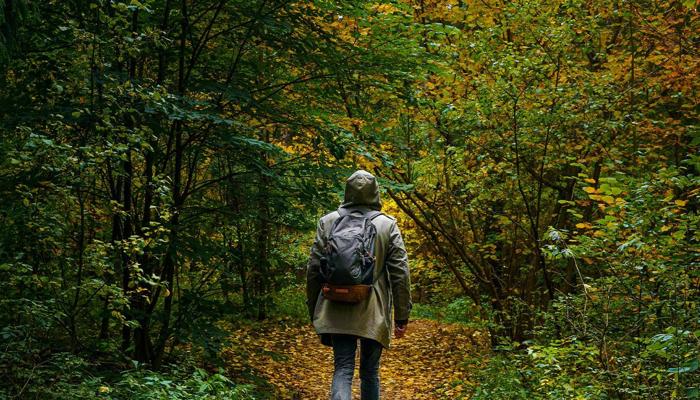 Walking Daily Has Health Perks You Did Not Know