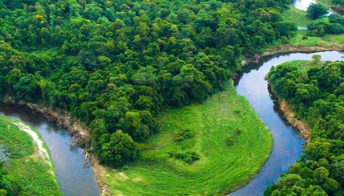Go on Earth-Friendly Eco Expeditions Now!