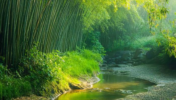 A Vibrant Life Is Possible: 7 Magic Practices