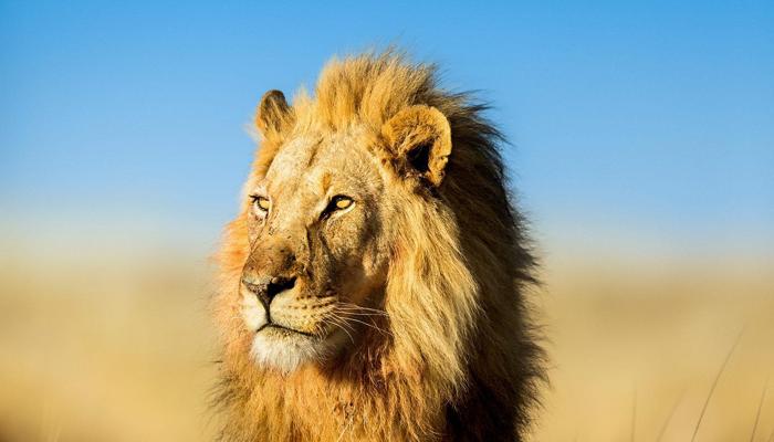 Find Your Confidence: Unleash Your Inner Power
