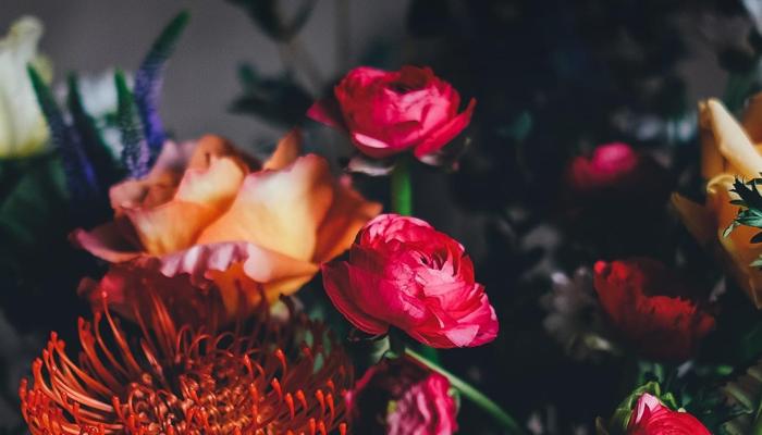 Find Your Perfect Plant Based on Your Zodiac!