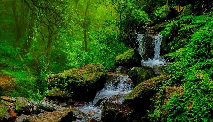 Nature's Wonders Transform Your Beauty Routine