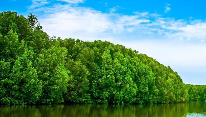 Mindfulness Can Transform Your Life Simply