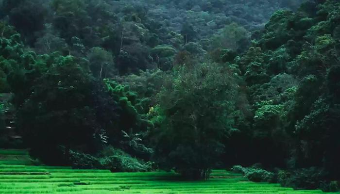 Find Zen: India's Top Meditation Spots Await