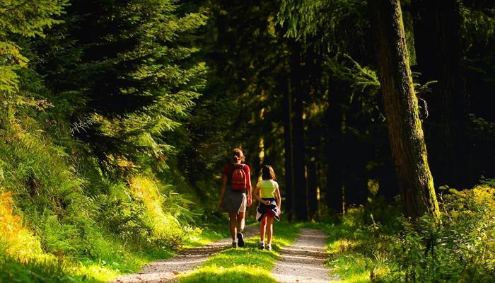 Walking Daily Improves Your Health In 10 Ways