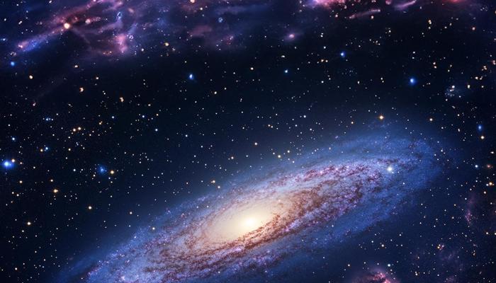 Gravity Shapes The Universe: What We Don't See