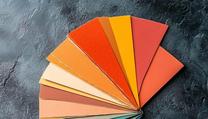 Find Your Perfect Color Palette Today