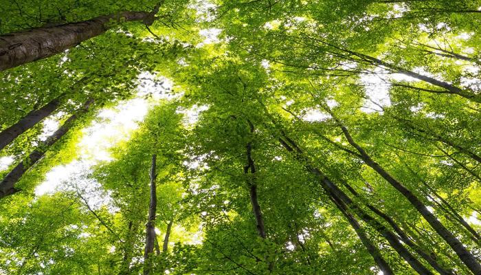 Technology Is Changing Conservation Stories