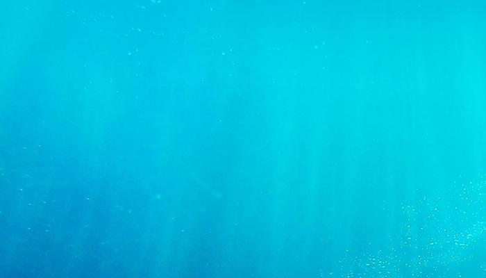 Water May Hold Key To Finding Alien Life