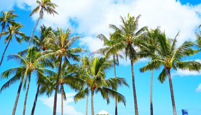 Family Fun: 8 Great Destinations for All Ages