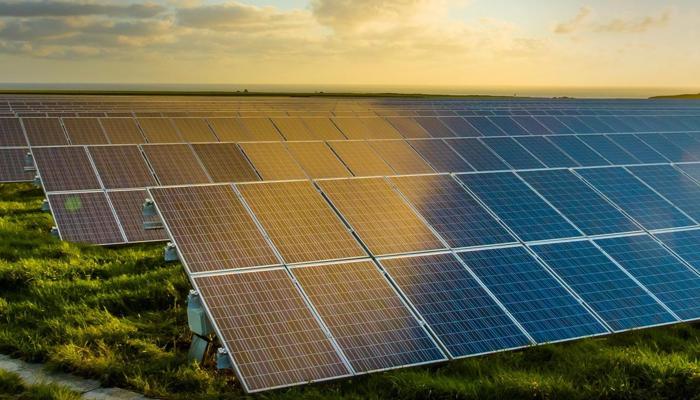 Invest Green, Grow Rich: Sustainable Wealth!