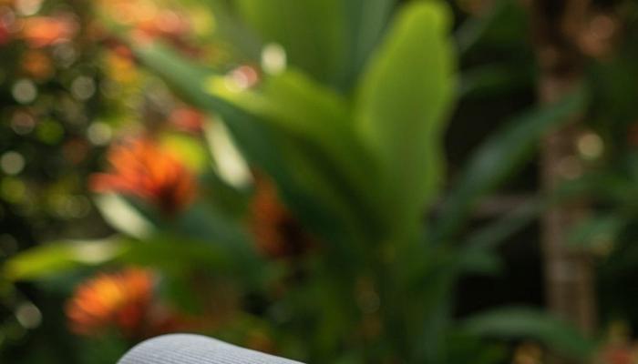 Optimism Boosts Your Health, Live a Big Life