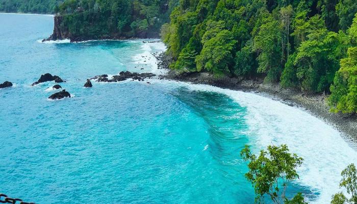 Explore Earth's Eco-Oases in 2024!