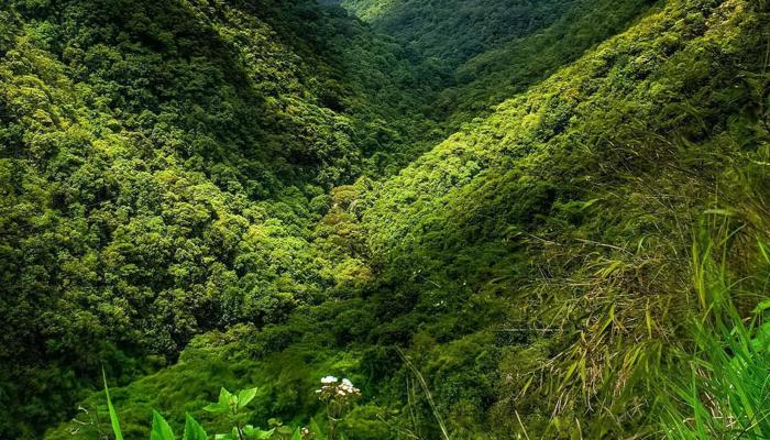 Explore 8 Stunning, Lesser-Known National Parks